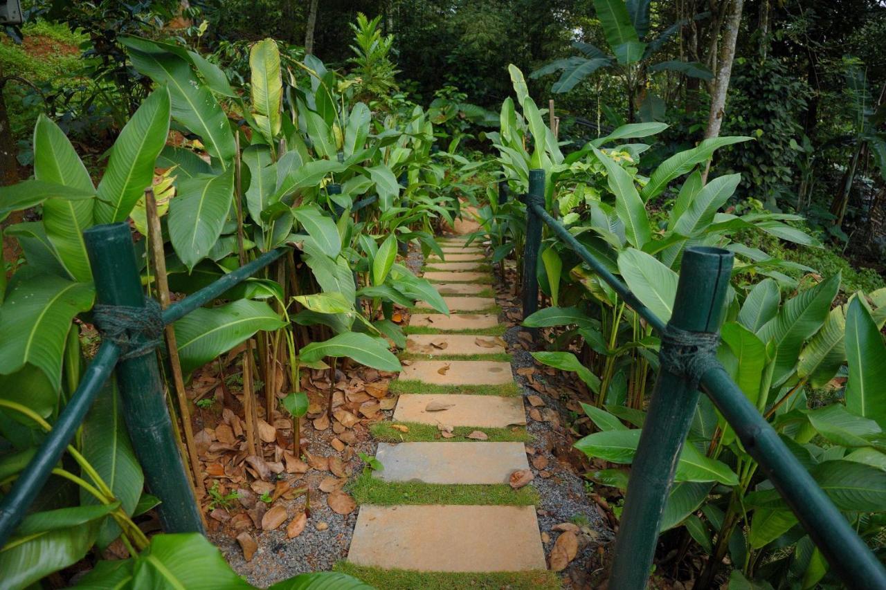Ananterra Resort Wayanad Dış mekan fotoğraf